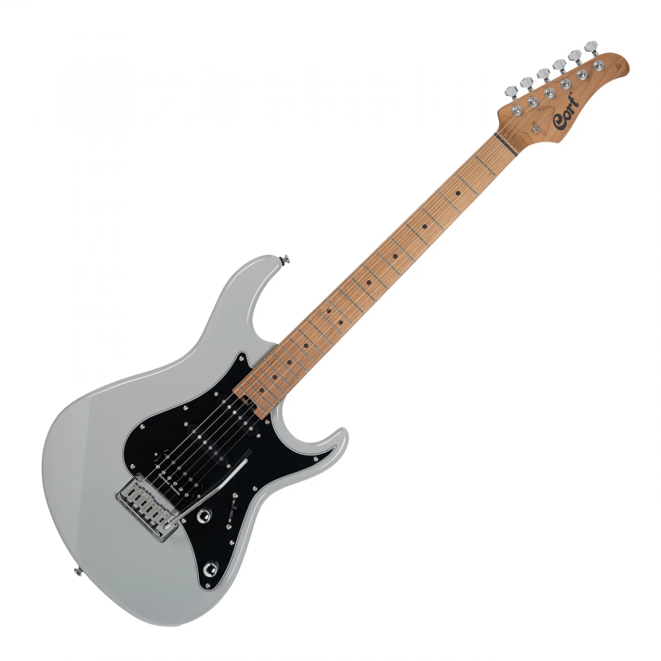 G290-MODERN-PGR 1