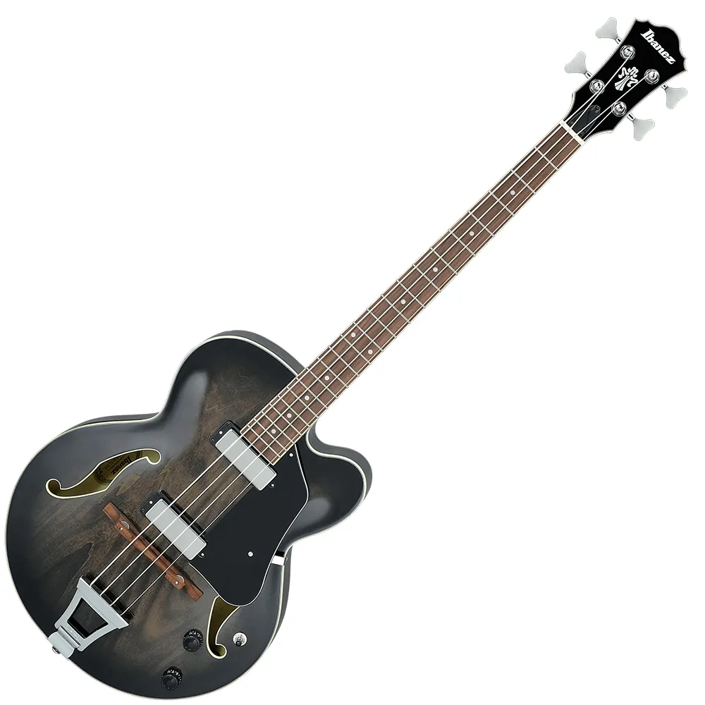 IBANEZ1