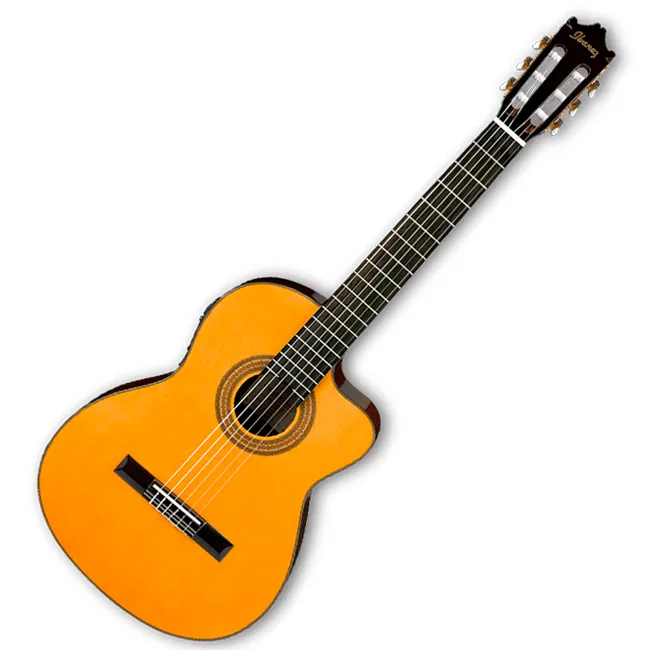 IBANEZ1