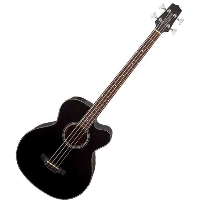 TAkamine1